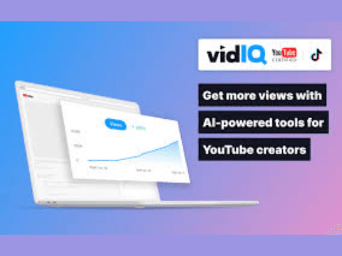 Зачем нужен Vidiq?