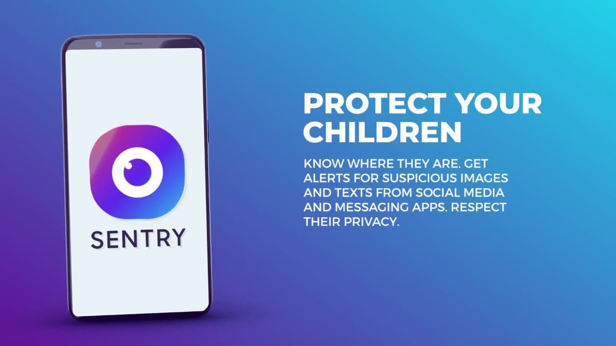 DolphinPay - оплата Sentry