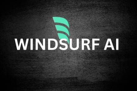 DolphinPay - оплата Windsurf