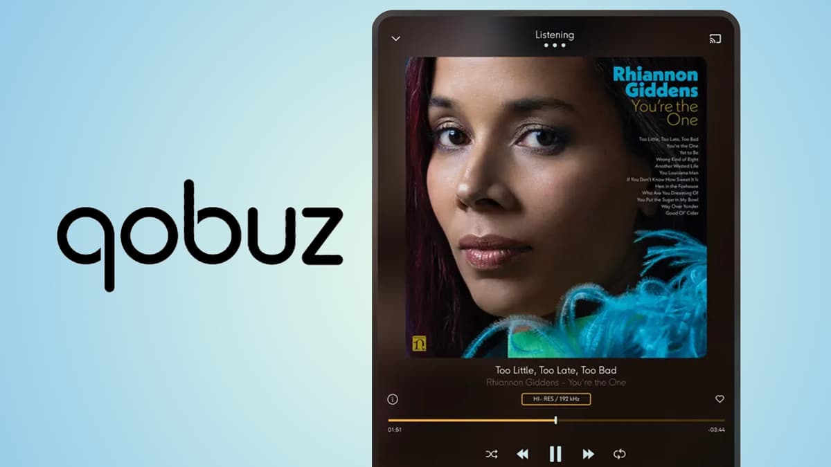 DolphinPay - оплата Qobuz