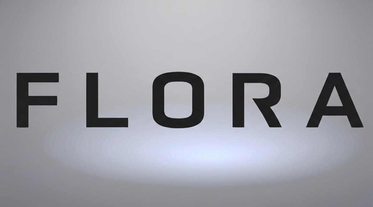 DolphinPay - оплата Flora AI