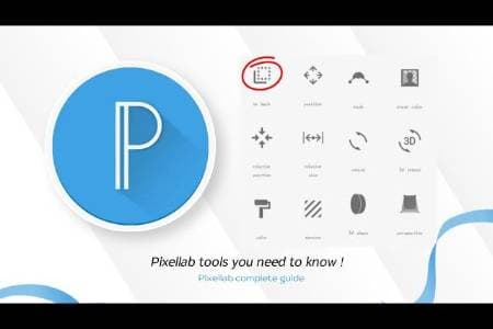 DolphinPay - оплата PixelLab