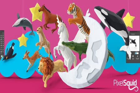DolphinPay - оплата PixelSquid